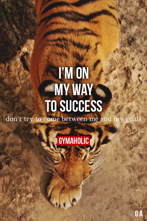 I’m On My Way To Success More fitness -> http://www.gymaholic.co/ #fit #fitness #fitblr #fitspo #motivation #gym #gymaholic #workouts #nutrition #supplements #muscles #healthy Gym Quote, Tiger Head, Gym Humor, A Tiger, Beast Mode, Workout Motivation, Fitness Quotes, Motivation Quotes, Big Cats