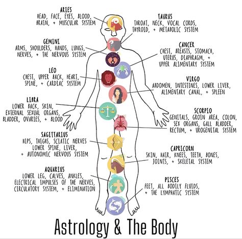 Astrology Health, Medical Astrology, Astrology Meaning, Jyotish Astrology, Occult Science, Astrology Planets, Chart Astrology, Tarot Book, Birth Chart Astrology