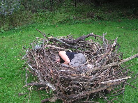 Human Nest Bird Nest Craft, Tiny Creatures, Play Garden, Wire Knitting, Willow Weaving, Natural Playground, Forest School, Pretty Decor, Garden Landscape Design