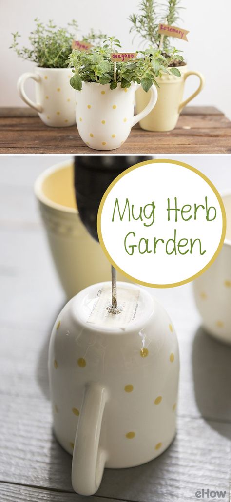 This  herb garden is as cute as possible! Grow the perfect spring and summer time herbs like fresh oregano, rosemary and thyme in adorable mugs. Your kitchen window sill just upgraded. These also make GREAT housewarming gifts! http://www.ehow.com/how_12343244_make-mug-herb-garden.html?utm_source=pinterest.com&utm_medium=referral&utm_content=freestyle&utm_campaign=fanpage Kitchen Window Herb Garden, Window Sill Plants, Window Herb Garden, Herb Garden Planter, Kitchen Window Sill, Grow Herbs, Kitchen Herbs, Gift Mugs, Indoor Herb Garden