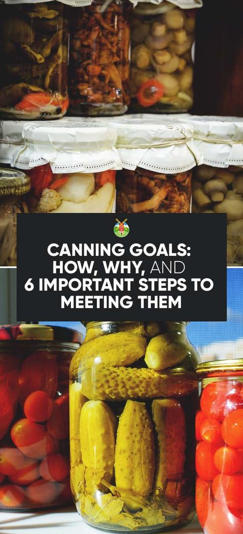 Canning Goals: How, Why, and 6 Important Steps to Meeting Them Oven Method For Canning, Canning In Oven, Oven Canning Recipes, Oven Canning Method, How To Can, Dry Canning, Canning Guide, Preserving Recipes, Tomatoes Recipes