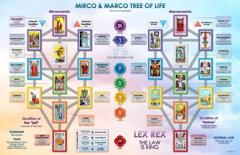 Micro and Marco Tree of Life Alchemy Art, Tarot Guide, Tarot Meanings, Spirit Science, Tarot Astrology, Ancient Knowledge, Reading Tarot Cards, Energy Healing, Tarot Cards