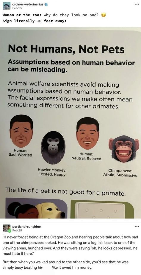 Things As People, Unusual Animal Friendships, Animal Friendships, Deadbeat Dad, Pet Spaces, A Monkey, Human Species, A Deer, The More You Know