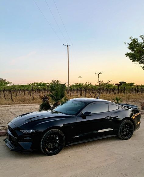 Sports Cars Mustang, 2017 Mustang, Black Mustang, Mustang Ecoboost, Moto Car, Dream Cars Mercedes, Top Luxury Cars, Mercedes Car, Driving Photography