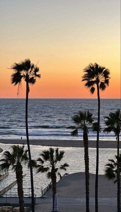 Summer Backrounds, Photo To Recreate, Emma Bloom, Florida Wallpaper, Palm Tree Wallpaper, Summer Palm Trees, Palm Tree Background, La Beach, Summer Happiness