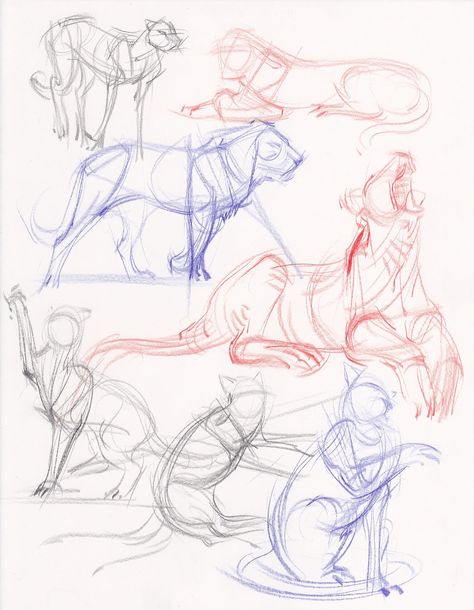 Michael Hampton Realism Tutorial, Michael Hampton, Animal Study, Animal Drawing, House Illustration, Gesture Drawing, Sketchbook Pages, Anatomy Reference, Animal Sketches