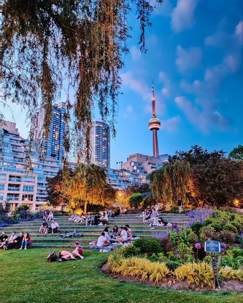 Toronto Music Garden, Toronto Canada Summer, Toronto Parks, Toronto Aesthetic, Toronto Summer, Scarborough Bluffs, Music Garden, University Aesthetic, 2024 Travel