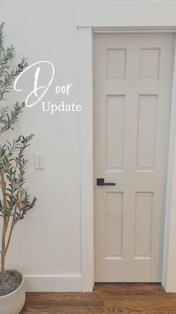 Door Moldings And Trim Modern, 1x3 Door Trim, Modern Door Casing Trim, Faux Wood Interior Door, Trim And Doors Different Colors, Casing Doorway, Trim And Door Colors Interior, Wood Windows White Trim, Door Trim Styles