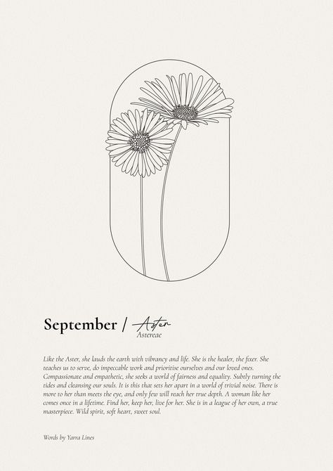 Like the Aster.. September birthday gift, Flower print, September Birth Flower Gift, Aster Birth Flower, Birthday print, Custom flower gift september birth flower tattoo ideas #zicxa-photos #zicxa #images #background #wallpaper #freepik #shutterstock #VN September Birth Flower Line Drawing, September Birth Tattoo Ideas, Aster September Flower, September Birthday Flower, September Symbols Tattoo, Birth Flower September Tattoos, September Birthday Tattoo, Sept Birth Flower Tattoo, September Birth Flower Drawing