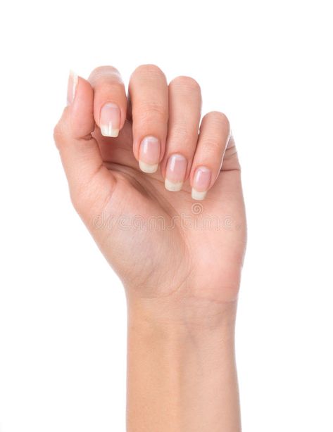 Beautiful woman hand with french manicured nails. Isolated on a white background #Sponsored , #PAID, #Affiliate, #hand, #Beautiful, #white, #french Nails White Background, Manicured Hands, Manicured Nails, Woman Hand, French Manicure Nails, Finger Nails, Flower Iphone Wallpaper, Colorful Nail Designs, White French