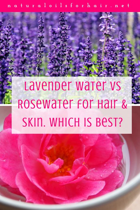 Lavender Water vs Rosewater for Hair and Skin | Natural Oils for Hair & Health Lavendar Water, Natural Oils For Hair, Water Benefits For Skin, Lavender Skin Care, Making Rose Water, Lavendar Oil, Best Skin Care Brands, Oils For Hair, Lavender Leaves