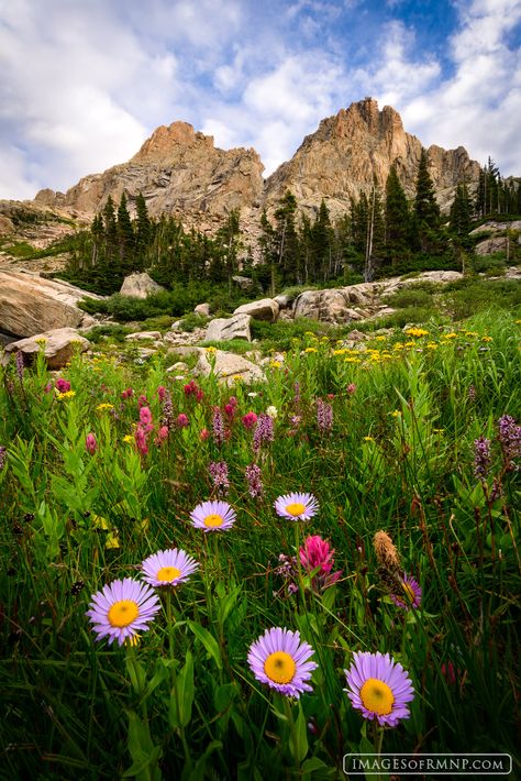 Remote Rocky | Images of Rocky Mountain National Park Fireworks Photo, Petrified Forest National Park, Rocky Hill, Mesa Verde National Park, Mountain Background, Park Forest, National Parks Photography, Adventure Inspiration, Capitol Reef National Park