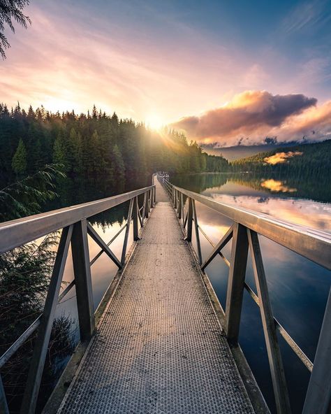 Port Moody, White Pine, Vancouver Bc, Pacific Northwest, North West, Railroad Tracks, Vancouver, Vision Board, Bridge