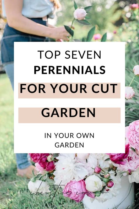 Perrenial Flowers For Cut Garden, Cut Flowers In Raised Beds, Zone 5 Cut Flower Garden, Greenery For Cut Flower Garden, Perennial Cut Flower Garden, Flower Gardening For Beginners, Fresh Cut Flower Garden, Flowers To Plant In March, Small Cut Flower Garden Layout