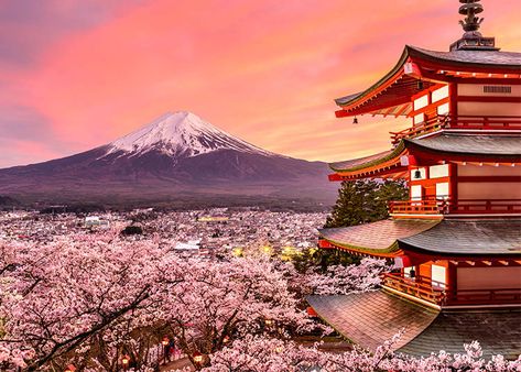 Chureito Pagoda, Gunung Fuji, Yakushima, Japan Spring, Monte Fuji, Beppu, Japan Landscape, Mont Fuji, Yamanashi