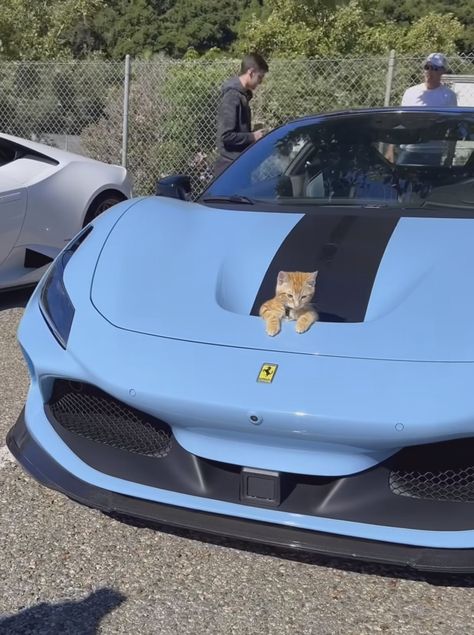 Ferrari F8 Spider, Spider Ferrari, F8 Spider, Ferrari Spider, Ferrari F8, Motivation Music, Makeup Lifestyle, Whisper Aesthetic, Summer Nature