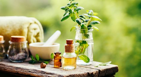 Peppermint Oil Benefits, Black Ginger, Oil Making, Essential Oils For Massage, What Are Essential Oils, Obese People, Infectious Diseases, Survival Life, Best Essential Oils