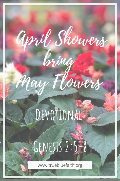 Christian Devotional on Gensis 2:5-8 on how to BLOOM after a Rainy Season. #Christian #devotional #faith #scripture April Devotions For Women, Spring Devotions For Women, Women Verses, Mom Devotional, Faith Of A Mustard Seed, Spend Time With God, Women Devotional, May Flower, Ladies Tea