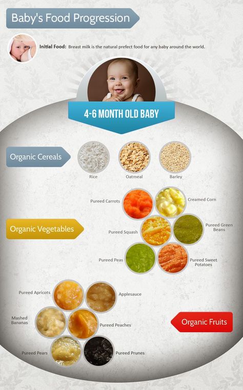 As I was looking through my old photographs of Charlotte when she was five and six months old, my heart almost exploded with joy at… Baby Food Guide, 6 Month Baby Food, 5 Month Old Baby, 4 Month Old Baby, Baby Food Chart, Healthy Baby Food, Baby First Foods, Baby Puree, 6 Month Old Baby