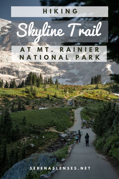 Pinterest Pin: Hiking Skyline Trail at Mt. Rainier National Park Mt Rainier Hikes, Skyline Loop Mount Rainier, Skyline Loop Trail, Skyline Trail Mt Rainier, Seattle Hiking, Olympic National Park Washington, Rainy Sky, Washington Vacation, Mt Rainier National Park