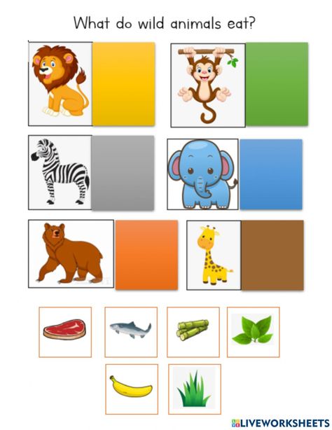 What Animals Eat Worksheet, States Of Matter Worksheet, Matter Worksheets, States Of Matter, Preschool Age, School Subjects, Online Workouts, Zoo Animals, Forest Animals