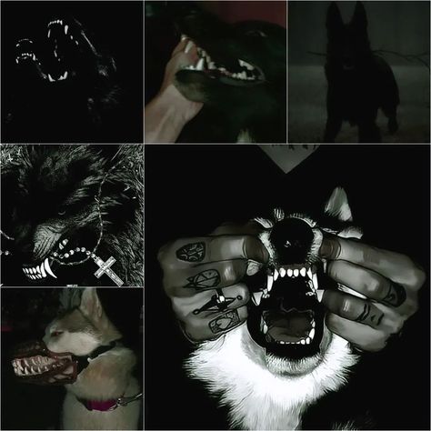 Alterhuman moodboards I made for tumblr ☆ • swankin • "i am therian" • wolfboy • canine • dark canine • dark moody habitat #therian #moodboard Wolfboy Aesthetic, Werewolf Moodboard, Mood Boards, Mood Board, Dogs