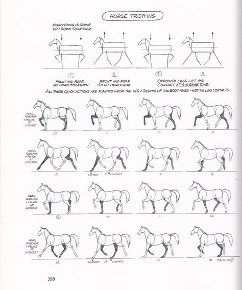 Leg Movement, Dynamic Poses Drawing, Horse Animation, Body Type Drawing, Animal Movement, Action Books, Flip Book Animation, Animation Storyboard, Anime Tutorial