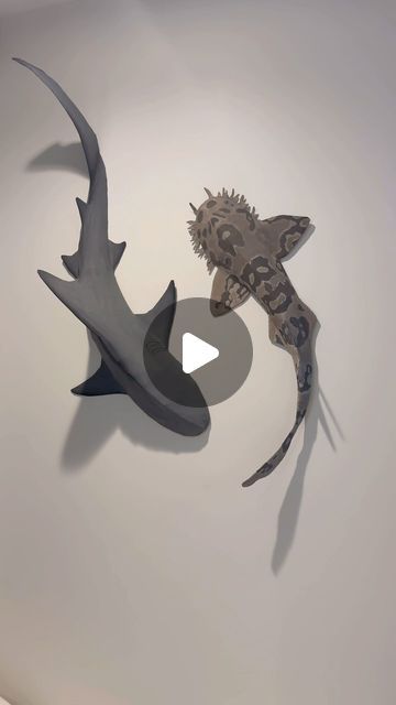 3d Shark Craft, Wall Shark, Shark Sculpture, Thresher Shark, Shark Craft, Paper Mache Projects, Shark Drawing, Fish Decor, Bull Shark