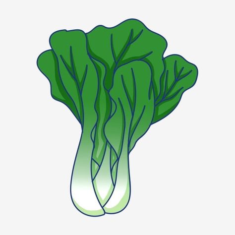 vegetables clipart,lettuce,green leaves,vegetables,plant,green,leaves,lettuce clipart,green clipart,leafy clipart,vegetables and fruits Green Vegetables Drawing, Vegetables Drawing For Kids, Fruits And Vegetables Drawing, Disney Characters Genderbend, Vegetables Drawing, Green Fruits And Vegetables, Cartoon Leaf, Vegetable Drawing, Vegetable Cartoon