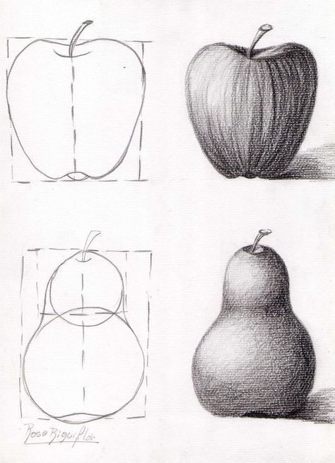 Art Fruit Drawing, Learn Drawing Beginner, Apple Drawing Reference, Fruit Sketching, How To Draw An Apple, Fruit Shading, Drawing Of Fruits, How To Draw Fruit, Sketch Fruit