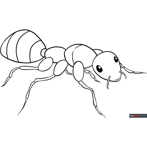 Free Ant Coloring Page for Kids Ant Coloring Page, Pictures Of Ants, Ant Drawing, Insect Coloring Pages, Easy Drawing Guides, Free Printable Coloring Sheets, Drawing Guides, Kids Print, Printable Coloring Sheets