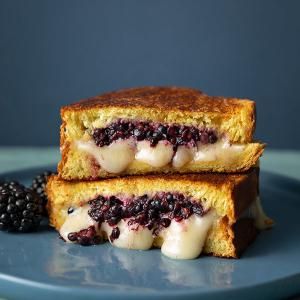 Blackberry Balsamic, Brie Grilled Cheese, Brie Sandwich, Creamy Chicken Pasta Recipes, Brown Sugar Pork Chops, Bacon Grilled Cheese, Cream Puff Recipe, Savory Cheese, Queso Fundido