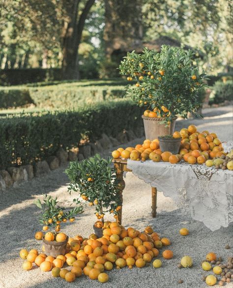 Mediterranean Party, Sicily Wedding, Destination Wedding Italy, Romantic Garden Wedding, Fruit Decorations, Flower Company, Summer Wines, Wedding Reception Inspiration, Wedding Inspiration Fall