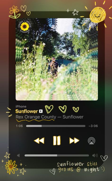 sunflower - rex orange county <3 spotify cover doodle by me Sunflower Rex Orange County, Music Homescreen, Orange Song, Indie Playlist, Rex Orange County, Rex Orange, Orange Country, Orange Sunflowers, Spotify Lyrics