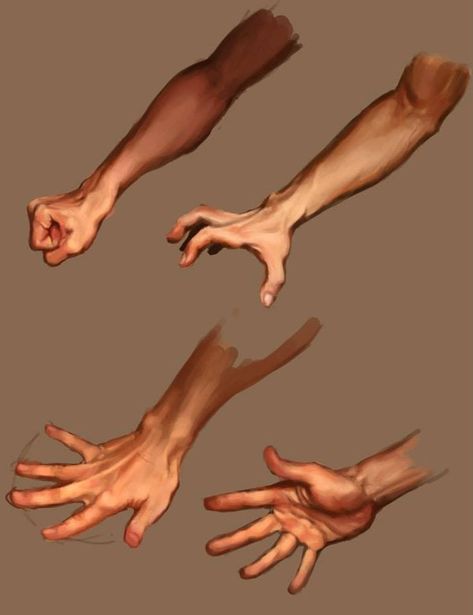 How To Color Hands Digital, How To Paint Hands, Hand On Table, Fingers Illustration, Hands Study, Hand Studies, Hand Tutorial, Hand Study, Human Anatomy Drawing