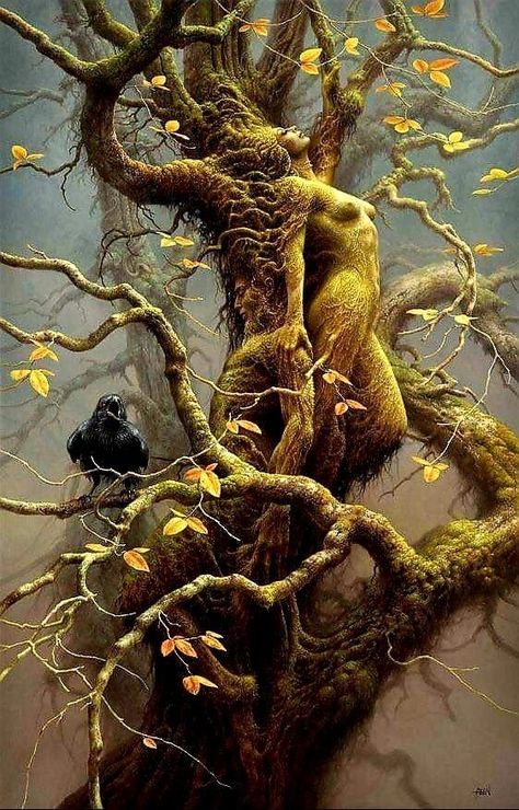 Energy Meditation, Unique Trees, Fantasy Paintings, Beautiful Dark Art, Visionary Art, Arte Fantasy, Art And Illustration, Fairy Art, Beautiful Fantasy Art