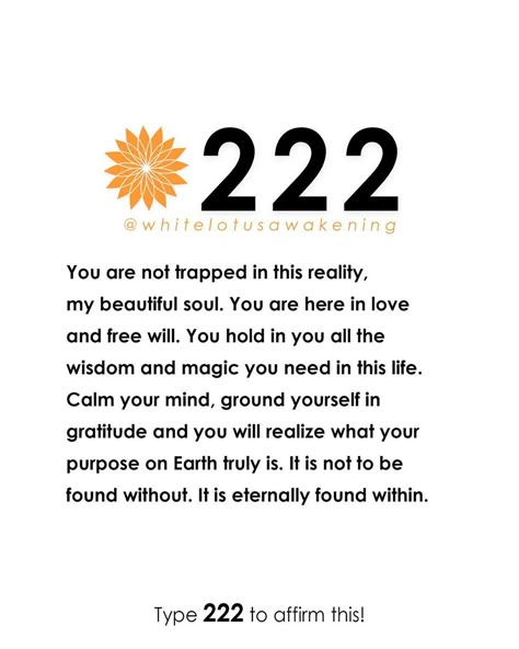 Soul Calling, Astrology Explained, 222 Meaning, Motivational Aesthetic, Repeating Numbers, Angel Number 222, Spiritual Awakening Signs, Numerology Life Path, Numerology Numbers