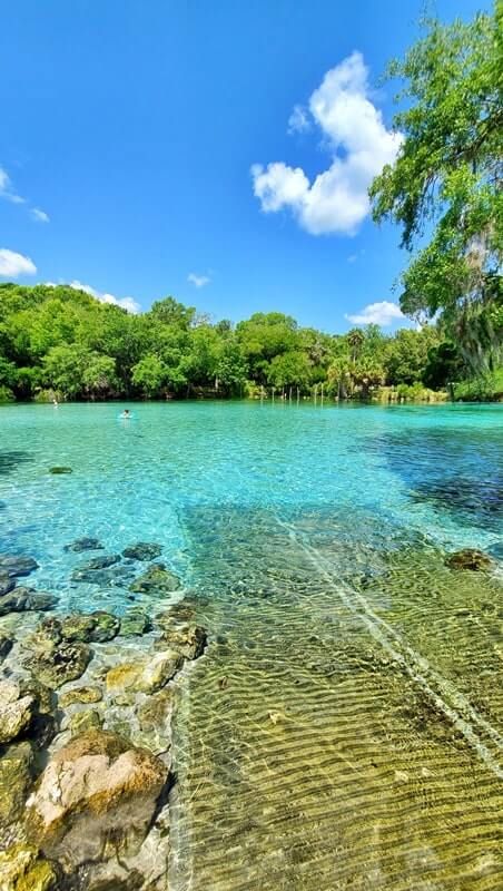 Silver Glen Springs Recreation Area (views!) swimming, snorkeling, hiking, Lake George (things to do) 🌴 Ocala National Forest, Florida travel blog - Flashpacking America Us Vacation Ideas, Springs In Florida, Ocala National Forest, Florida Aesthetic, Underwater Pictures, Be Adventurous, Florida State Parks, Florida Springs, Things To Do In Florida