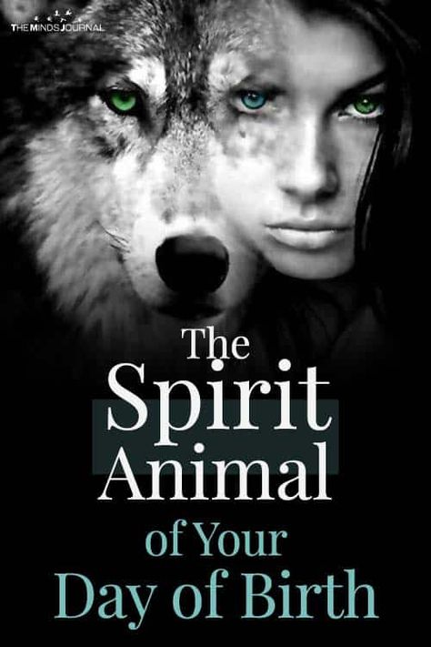 Spirit Animal Quiz, Whats Your Spirit Animal, Find Your Spirit Animal, Spirit Animal Meaning, Day Of Birth, Animal Meanings, Animal Quiz, Spiritual Animal, Animal Spirit Guides