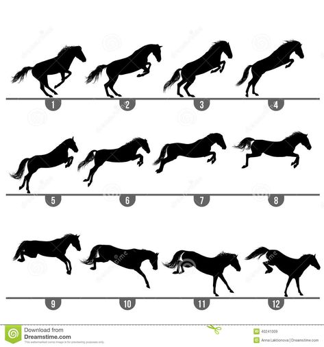 Illustration about Set of 12 jumping horse phases silhouettes. Illustration of animal, competition, pony - 40241009 Jump Animation, Animation Drawing Sketches, Horse Animation, Horse Competition, Drawing Animation, Horse Art Drawing, Jumping Horse, Vector Animation, Free Horses