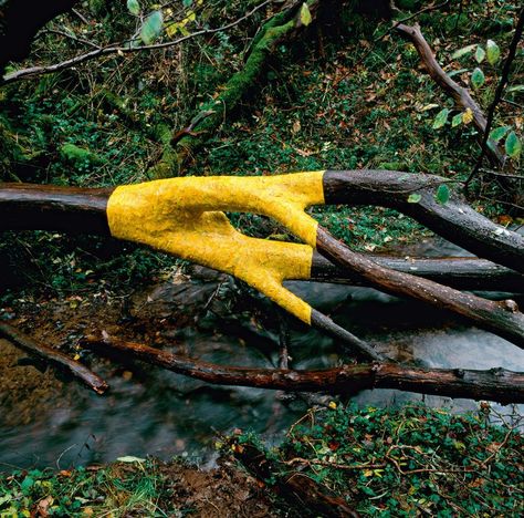 Andy Goldsworthy:::  Wet, yellow elm leaves stick to a smooth, fallen elm tree in Dumfriesshire. (November, 2011) Environmental Sculpture, Ephemeral Art, Andy Goldsworthy, Elm Tree, Earth Art, Tree Sculpture, Forest Art, Outdoor Sculpture, Stonehenge