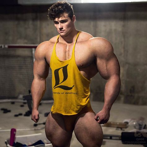 Jeff Seid, Muscle Hunks, Half Shirts, Muscle Tees, Muscle Men, Mens Tank Tops, Athletic Tank Tops, Bodybuilding, Deviantart