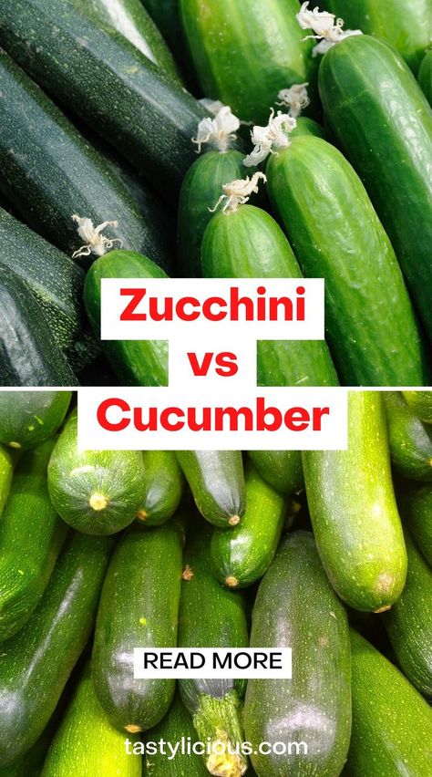 zucchini and cucumber difference | zucchini cucumber difference | zucchini vs cucumber taste | juicing recipes for weight loss | juice recipes | healthy smoothie recipes | juicer recipes beginners | green juice recipes for weight loss Zucchini Nutrition Facts, Cucumber Nutrition Facts, Zucchini Benefits, Juice Recipes Healthy, Fruits And Vegetables List, Diy Natural Detergent, Green Juice Smoothie, Cucumber Benefits, Squash Varieties