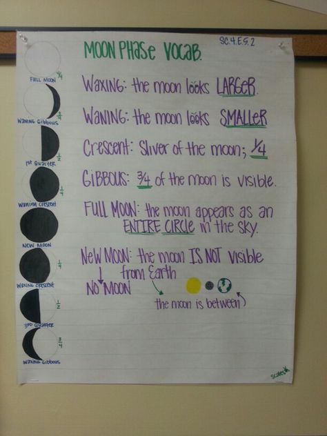 Moon phases Big idea 5 (4th grade) Moon Phases Lesson Plans Activities, Earth Science Classroom, Moon Unit, Earth Science Activities, Fourth Grade Science, Science Anchor Charts, 7th Grade Science, 1st Grade Science, First Grade Science