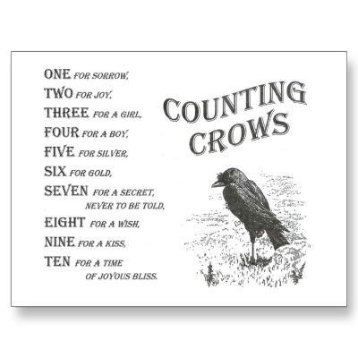 ... Crow Counting Rhyme, Crow Rhyme, Crow Mythology, One For Sorrow, Counting Crows, Animal Spirit Guides, A Crow, Crows Ravens, Spell Book