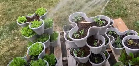 3 Easy Mistakes to Make With Dollar Tree Stackable Planters | Simplify Stacked Strawberry Planter, Diy Greenstalk Planter, Stacked Pots Planter, Stacked Herb Garden, 3 Tier Flower Planter Ideas, Stackable Planters Ideas, Stacked Planter Ideas, Stacked Flower Pots Diy Tiered Planter, Stacked Planters Diy