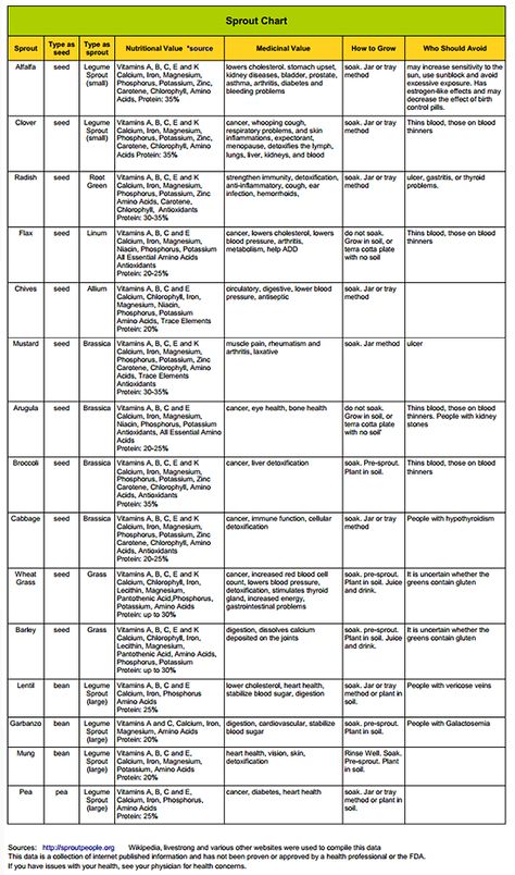 sprout chart. full sized downloadable pdf on the site Grow Alfalfa Sprouts, Types Of Seeds, Different Types Of Seeds, Lentil Nutrition Facts, Watermelon Nutrition Facts, Growing Sprouts, Broccoli Nutrition, Nutrition Infographic, Nutrition Chart