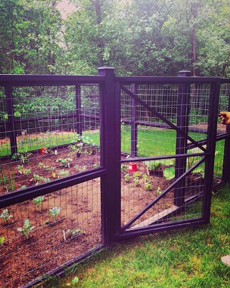 Fenced In Garden, Rustic Garden Fence, Fenced Vegetable Garden, Garden Fence Ideas, Diy Garden Fence, Backyard Vegetable Gardens, Terra Nova, Garden Area, Magic Garden