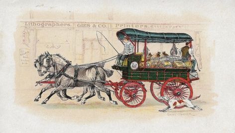 Free image of "Studebaker Horse Drawn Wagon" by Kennet Kjell Johansson Hultman Grey Clydesdale, Clydesdale Horse, Horse Wagon, Horse Drawn Wagon, Clydesdale Horses, Clydesdale, Horse Drawn, Ink Pen Drawings, Latest Pics