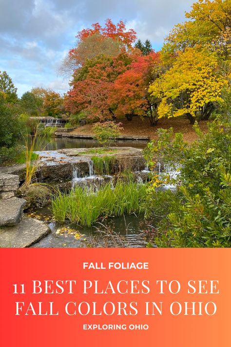 Fall colors in Ohio are just breathtaking! Explore our blog for the ultimate Ohio fall foliage guide. #OhioFallColors #AutumnAdventures Ohio Fall, Brandywine Falls, Franklin Park Conservatory, Cuyahoga Valley National Park, Largest Waterfall, Nature Preserve, Cleveland Ohio, Columbus Ohio, Picnic Area